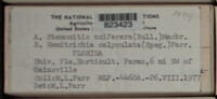 Image Associated With the Occurence
